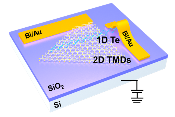 Technology image for TT-0065